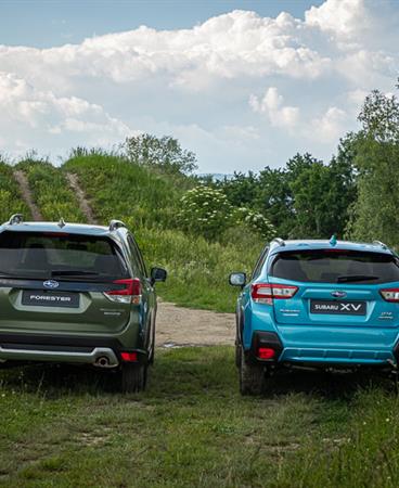 Forester and XV_low-006-24127